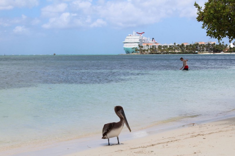 Viajar a Aruba, la isla del verano eterno